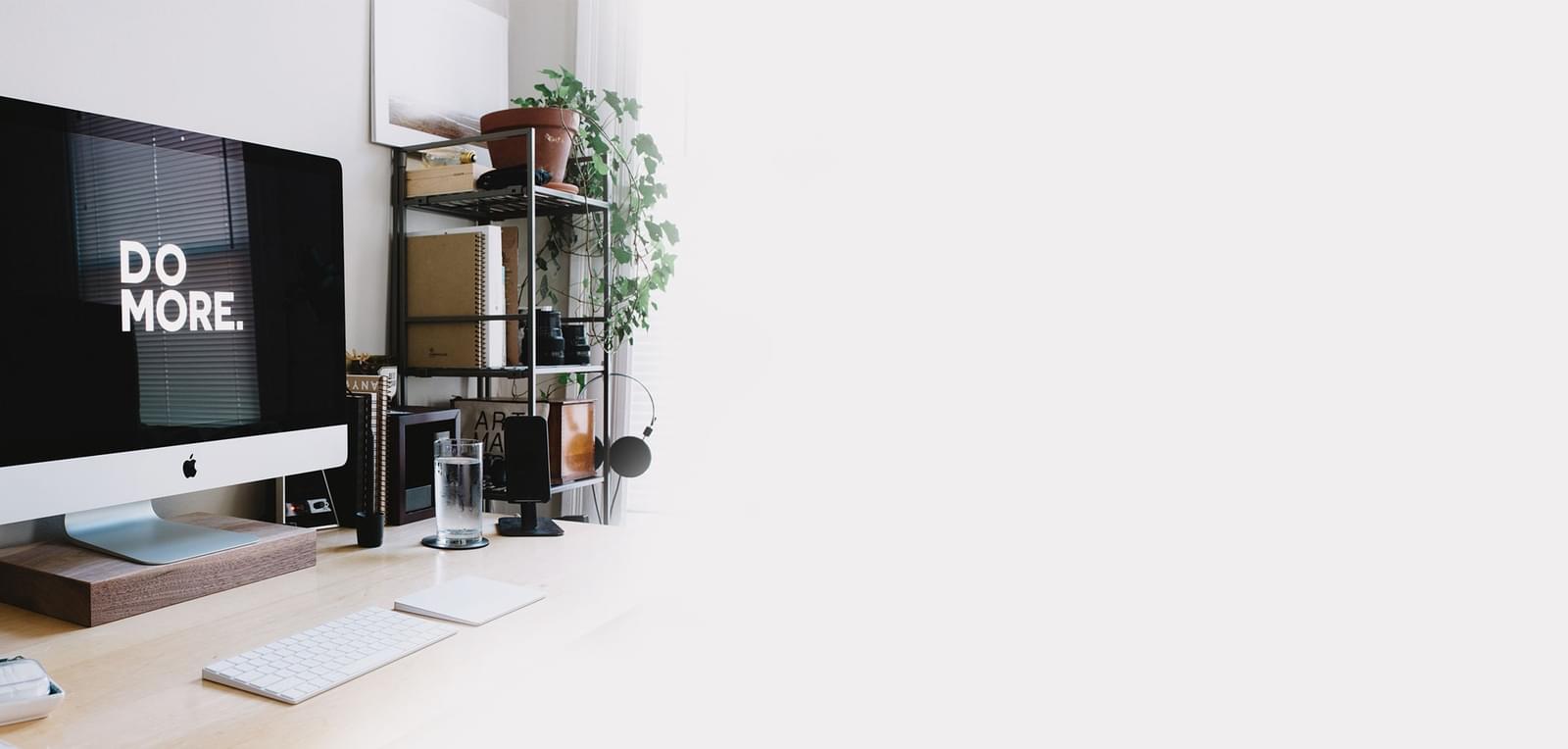 WordPress development workspace